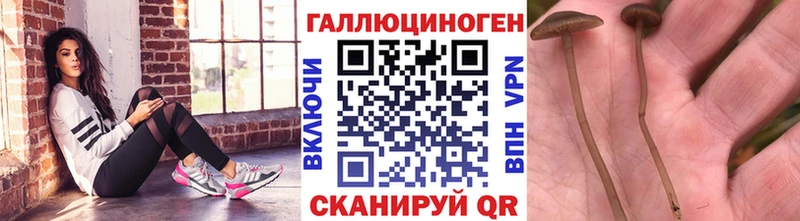 Псилоцибиновые грибы мухоморы Зея